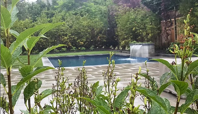 Pool with a waterfall wall, framed by the garden